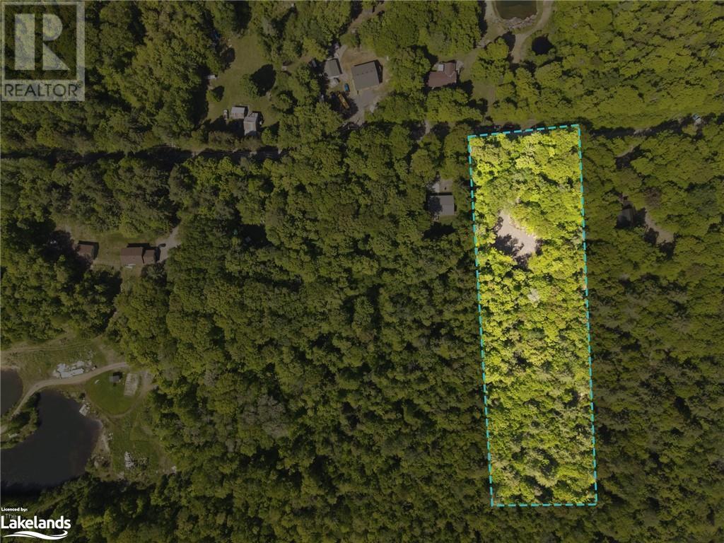 1066 South Muldrew Lake Road, Kilworthy, Ontario  P0E 1G0 - Photo 6 - 40595139