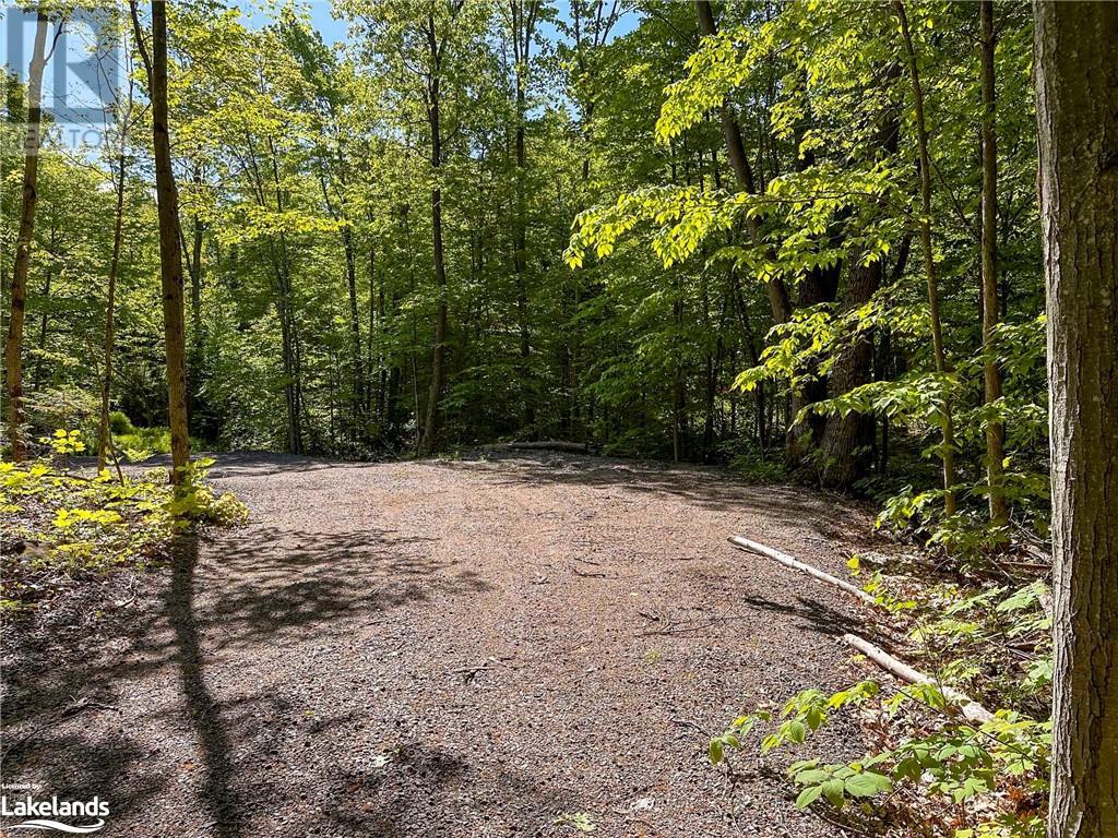 1066 South Muldrew Lake Road, Kilworthy, Ontario  P0E 1G0 - Photo 3 - 40595139