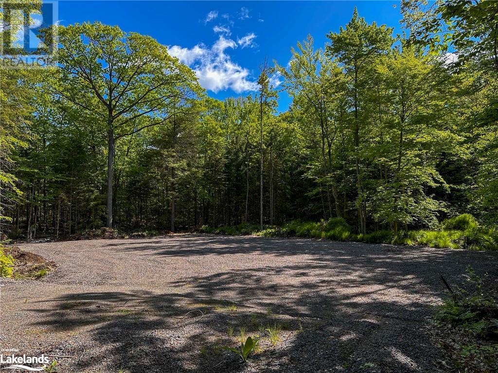 1066 South Muldrew Lake Road, Kilworthy, Ontario  P0E 1G0 - Photo 5 - 40595139