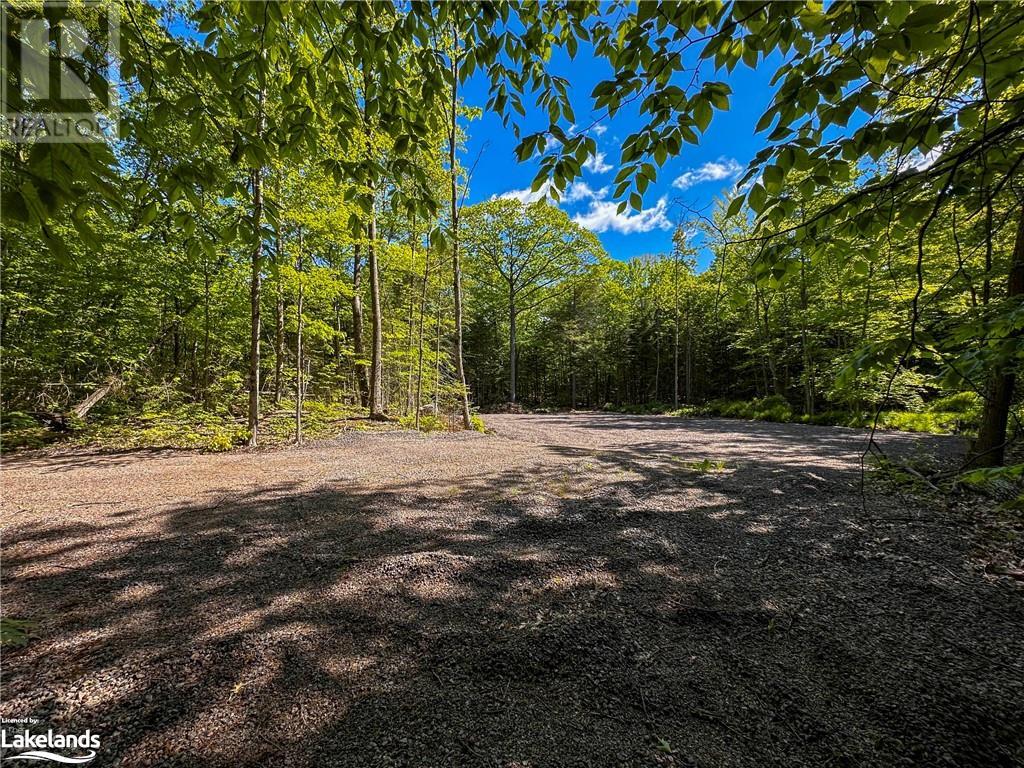 1066 South Muldrew Lake Road, Kilworthy, Ontario  P0E 1G0 - Photo 2 - 40595139