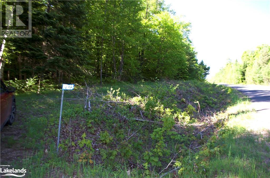 2823 Harburn Road, Haliburton, Ontario  K0M 1S0 - Photo 10 - 40595160