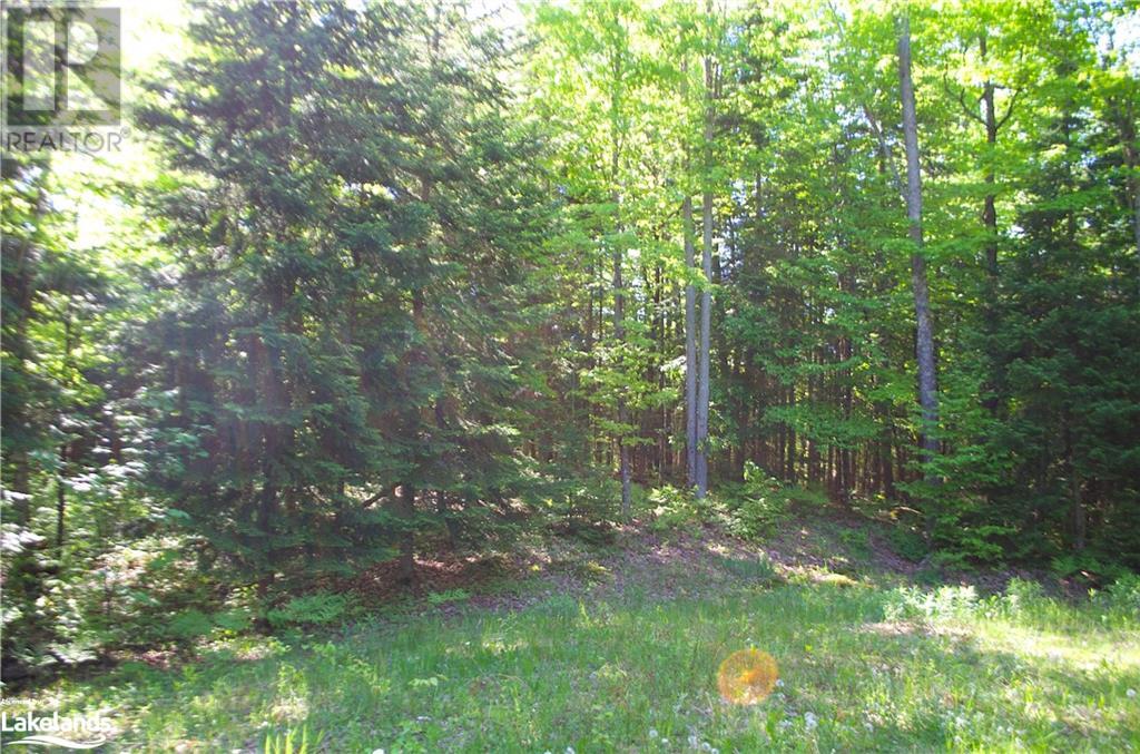 2823 Harburn Road, Haliburton, Ontario  K0M 1S0 - Photo 11 - 40595160