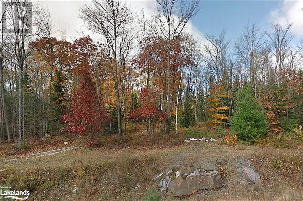 2823 Harburn Road, Haliburton, Ontario  K0M 1S0 - Photo 12 - 40595160