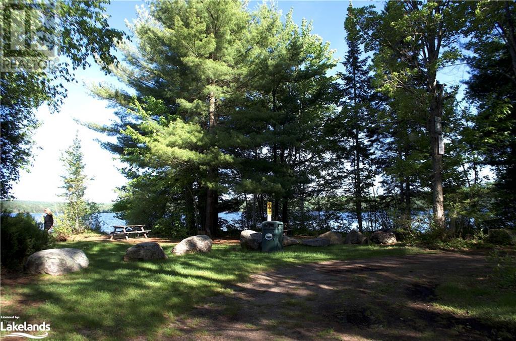 2823 Harburn Road, Haliburton, Ontario  K0M 1S0 - Photo 13 - 40595160