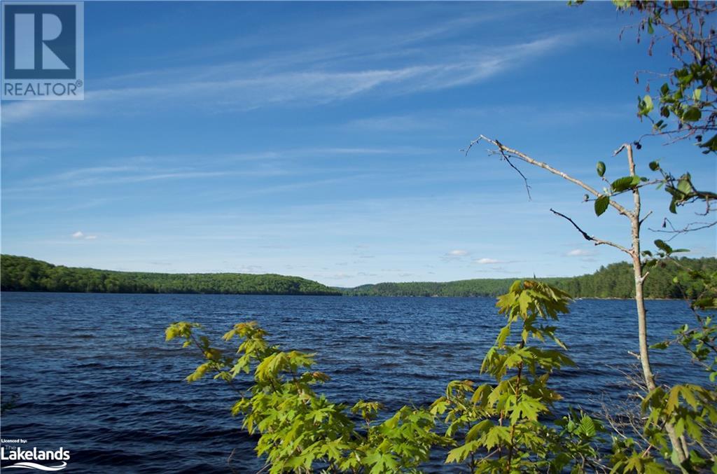 2823 Harburn Road, Haliburton, Ontario  K0M 1S0 - Photo 14 - 40595160