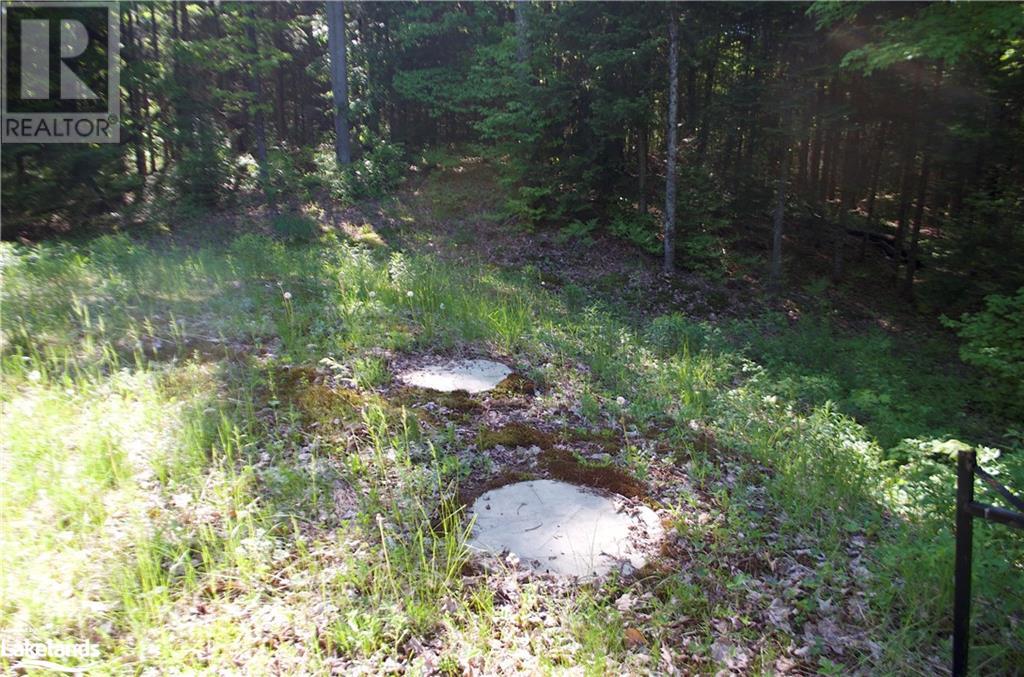 2823 Harburn Road, Haliburton, Ontario  K0M 1S0 - Photo 2 - 40595160
