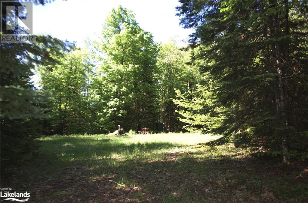2823 Harburn Road, Haliburton, Ontario  K0M 1S0 - Photo 3 - 40595160