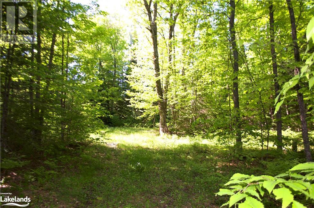 2823 Harburn Road, Haliburton, Ontario  K0M 1S0 - Photo 4 - 40595160