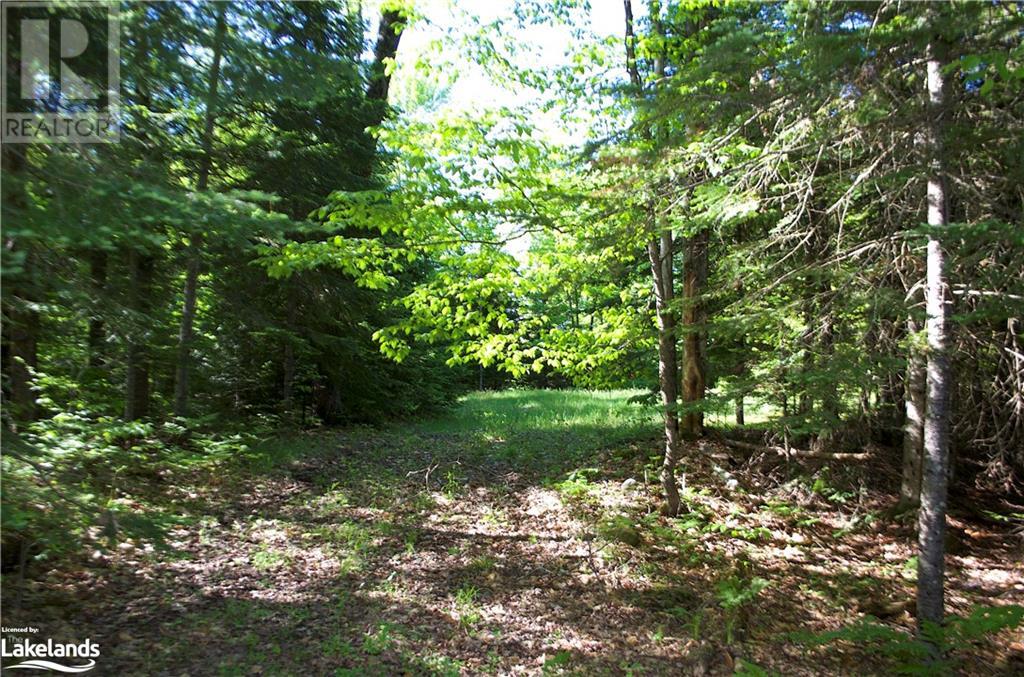 2823 Harburn Road, Haliburton, Ontario  K0M 1S0 - Photo 5 - 40595160