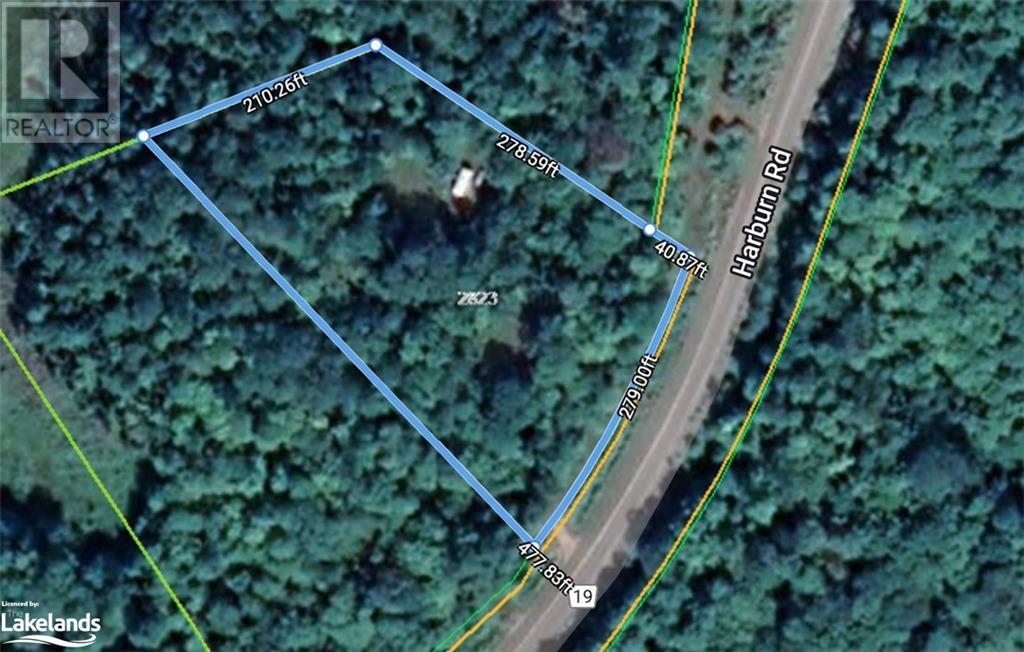 2823 Harburn Road, Haliburton, Ontario  K0M 1S0 - Photo 8 - 40595160