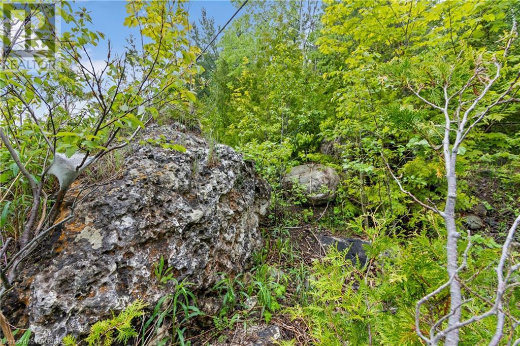 6726 Highway 6, Northern Bruce Peninsula, Ontario  N0H 2R0 - Photo 44 - 40593870