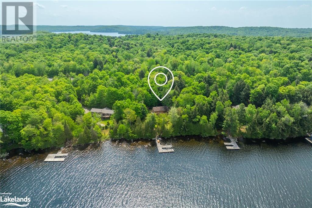 3035 Muskoka Rd 117, Baysville, Ontario  P0B 1A0 - Photo 3 - 40578654