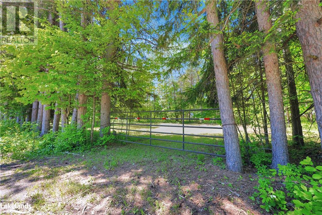 0 Stills Road, Eagle Lake, Ontario  K0M 1M0 - Photo 3 - 40591683