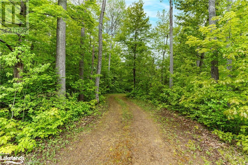 1174 Seabreeze Road, Dwight, Ontario  P0A 1H0 - Photo 6 - 40593232