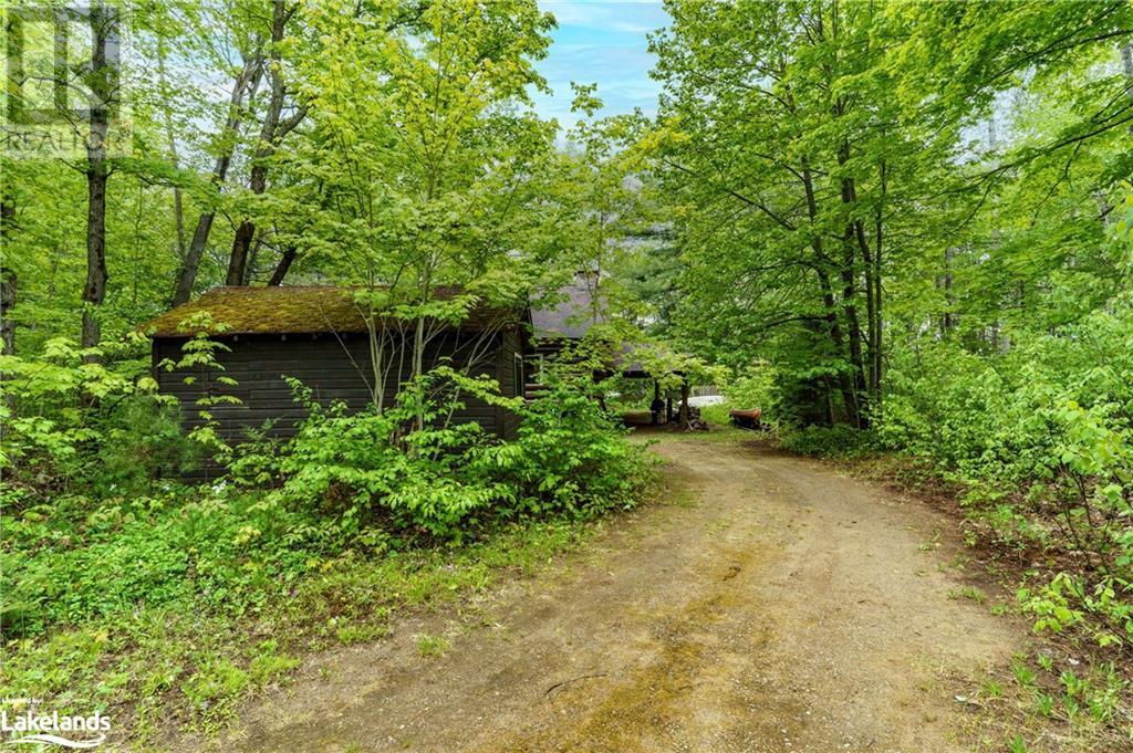 1174 Seabreeze Road, Dwight, Ontario  P0A 1H0 - Photo 7 - 40593232