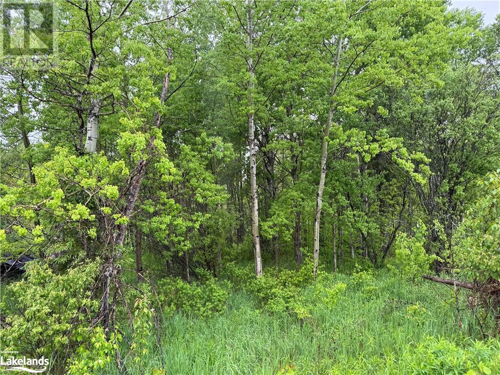 1398 Highway 69, Henvey, Ontario  P0G 1A0 - Photo 8 - 40592755