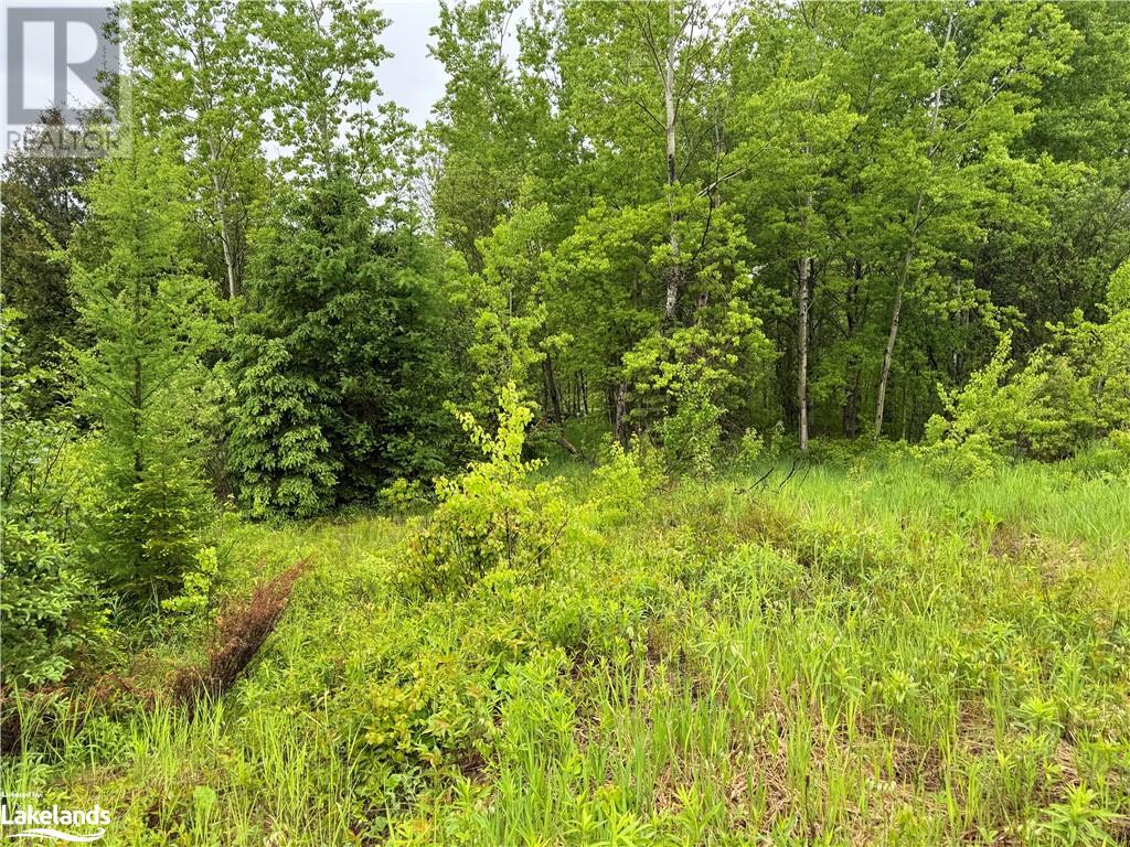 1398 Highway 69, Henvey, Ontario  P0G 1A0 - Photo 9 - 40592755