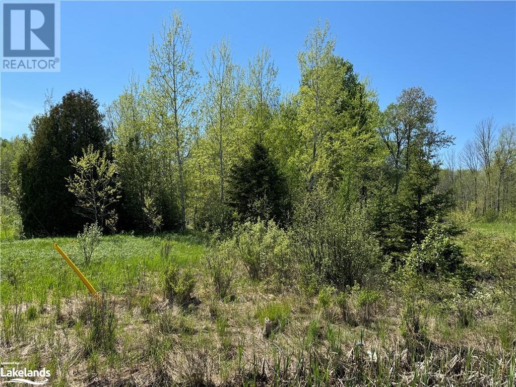 1398 Highway 69, Henvey, Ontario  P0G 1A0 - Photo 3 - 40592755