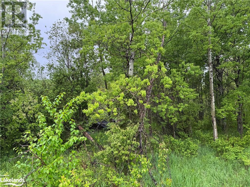 1398 Highway 69, Henvey, Ontario  P0G 1A0 - Photo 7 - 40592755