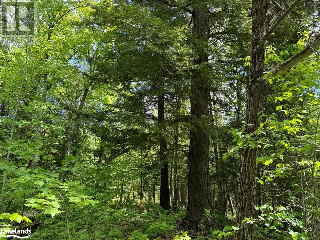 PART 3-22342 EAST ROAD, loring, Ontario
