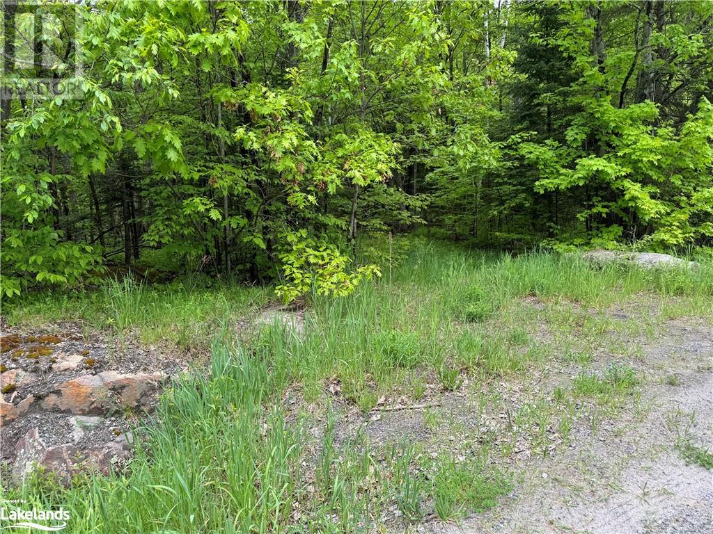 Part 3-22342 East Road, Loring, Ontario  P0H 1S0 - Photo 5 - 40593645
