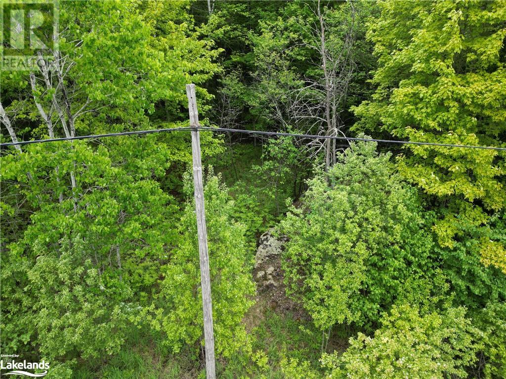 Part 3-22342 East Road, Loring, Ontario  P0H 1S0 - Photo 2 - 40593645