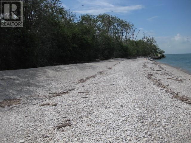 V/l Middle Sister Island, Pelee Island, Ontario  N0R 1M0 - Photo 14 - 24012160