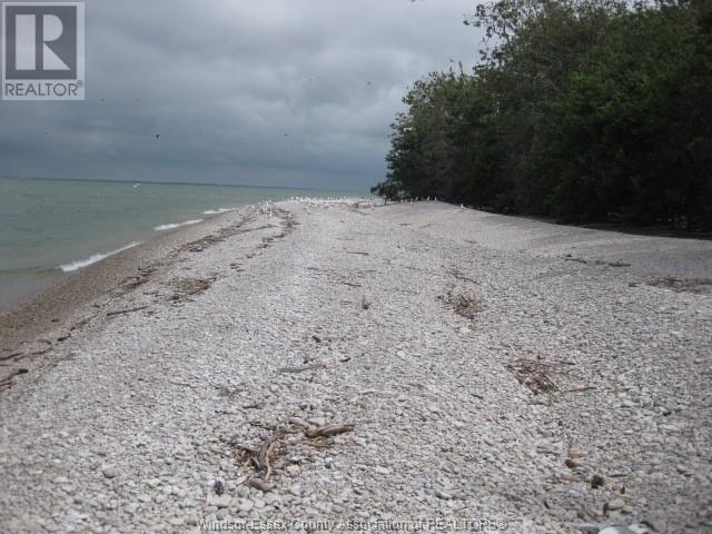 V/l Middle Sister Island, Pelee Island, Ontario  N0R 1M0 - Photo 2 - 24012160