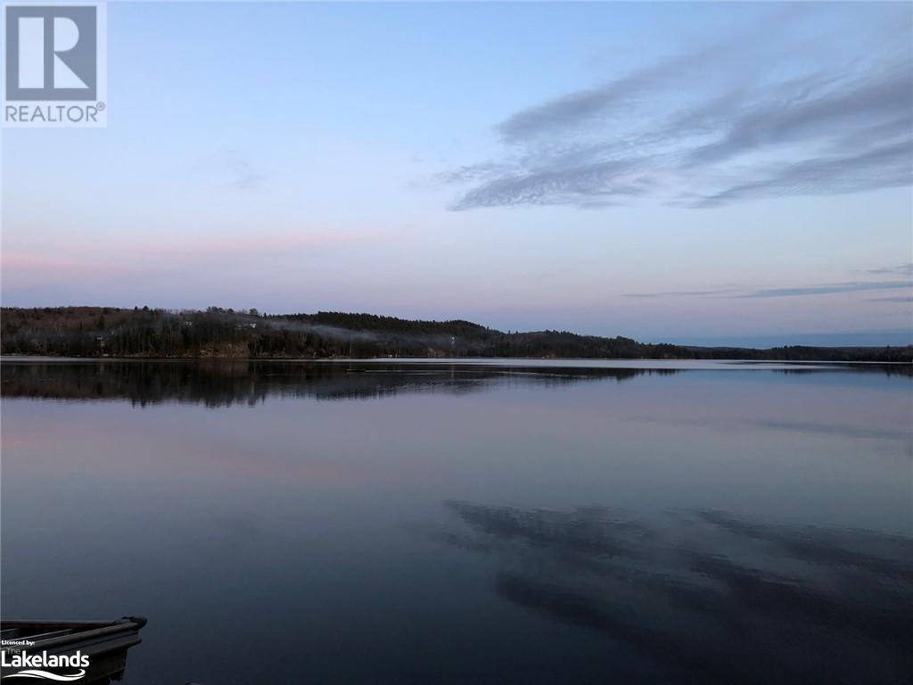 6210 Haliburton Lake Road, Haliburton, Ontario  K0M 1S0 - Photo 10 - 40584304
