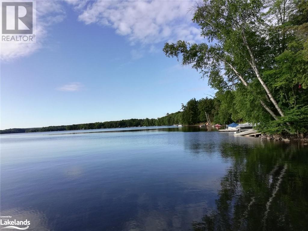 6210 Haliburton Lake Road, Haliburton, Ontario  K0M 1S0 - Photo 43 - 40584304