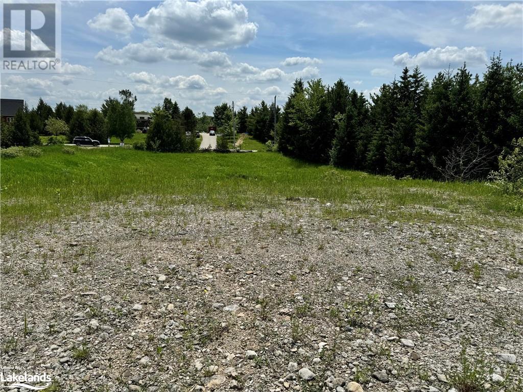 115 Brewster Lake Road, Singhampton, Ontario  N0C 1M0 - Photo 2 - 40584167