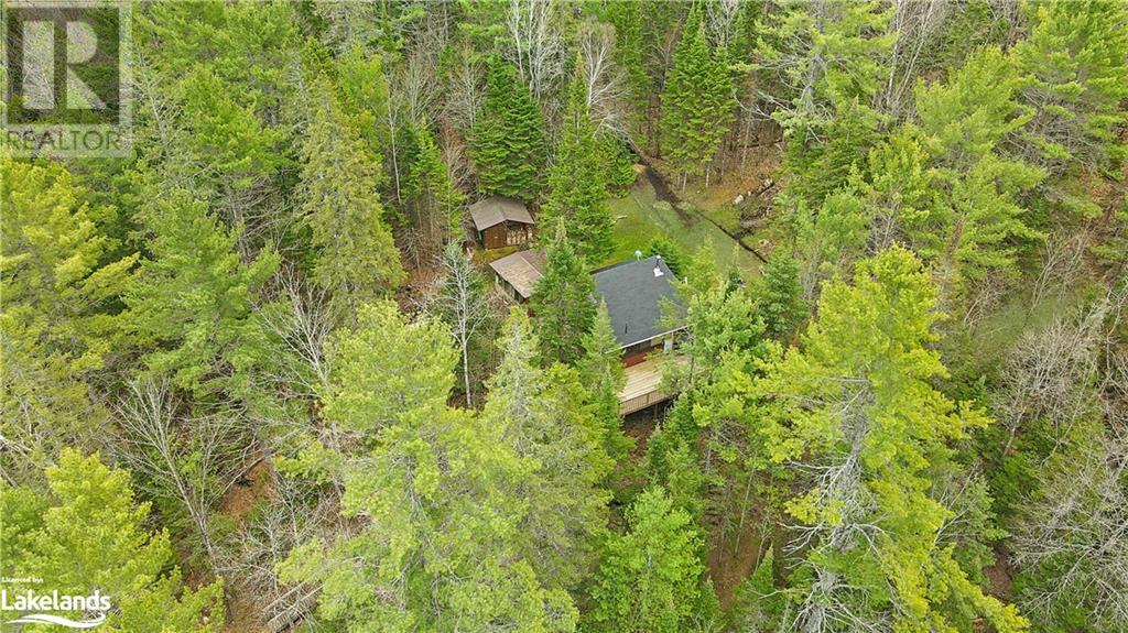 1031 Solitude Lane, Highlands East, Ontario  K0M 1R0 - Photo 38 - 40581352