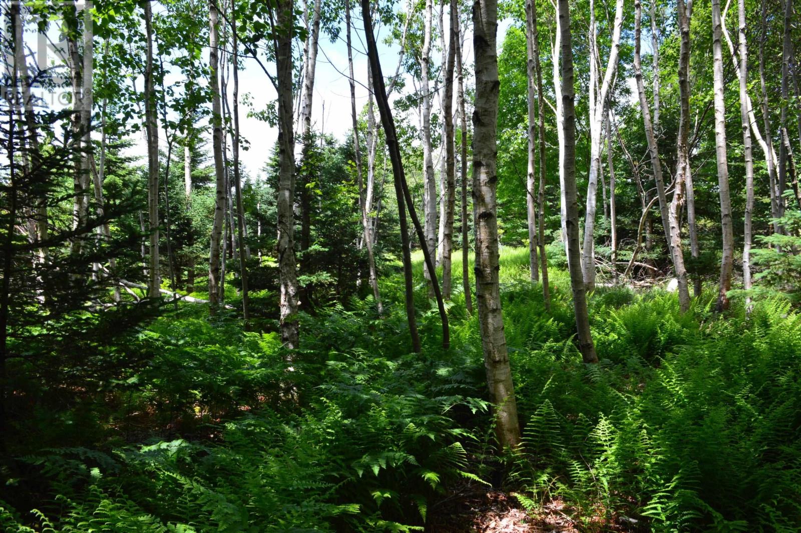 Lot Portion Of 60169216 Blue Rocks Road, Garden Lots, Nova Scotia  B0J 2C0 - Photo 16 - 202411671