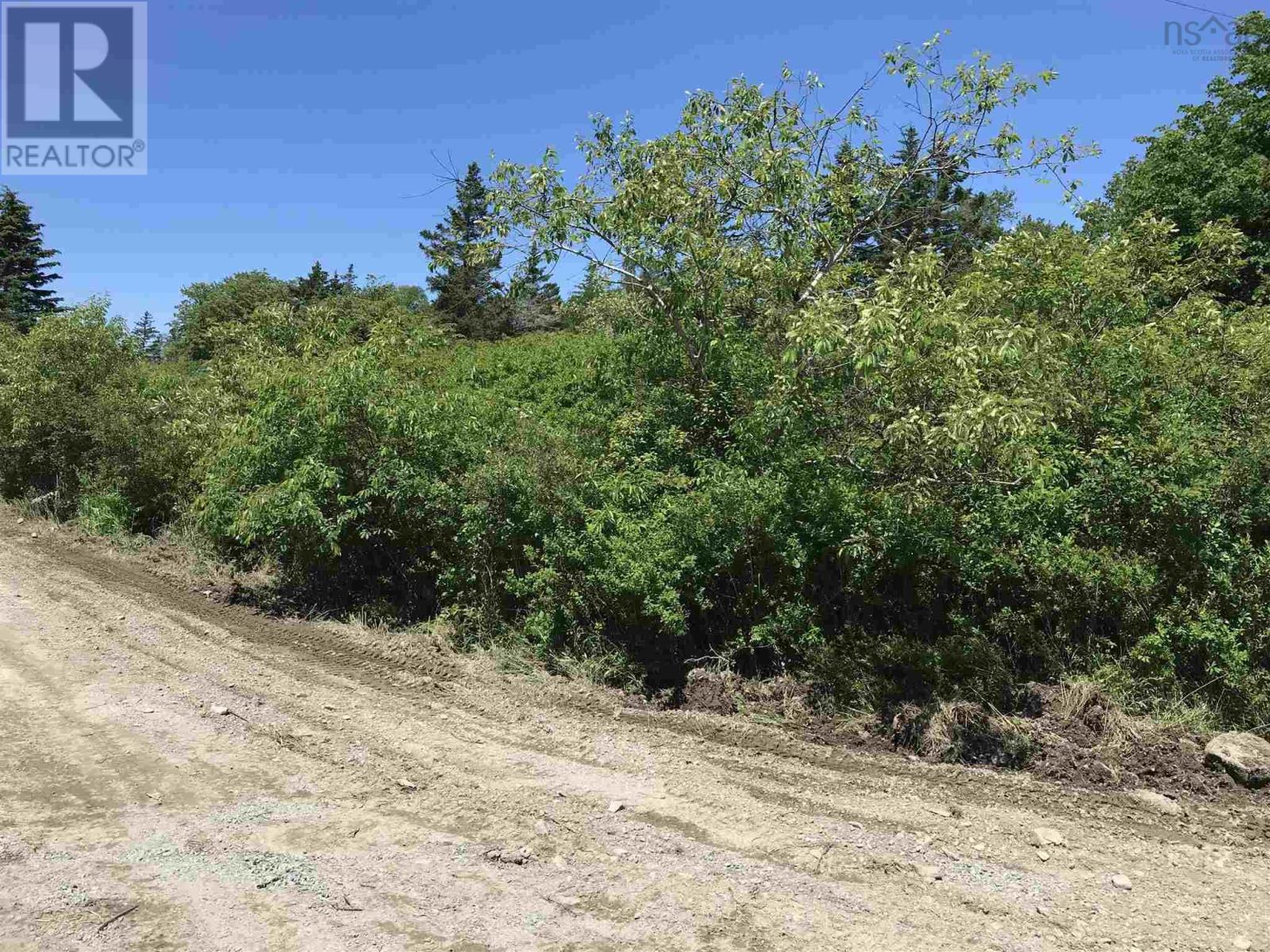 Backland Road, Plymouth, Nova Scotia  B0W 1B0 - Photo 11 - 202115455