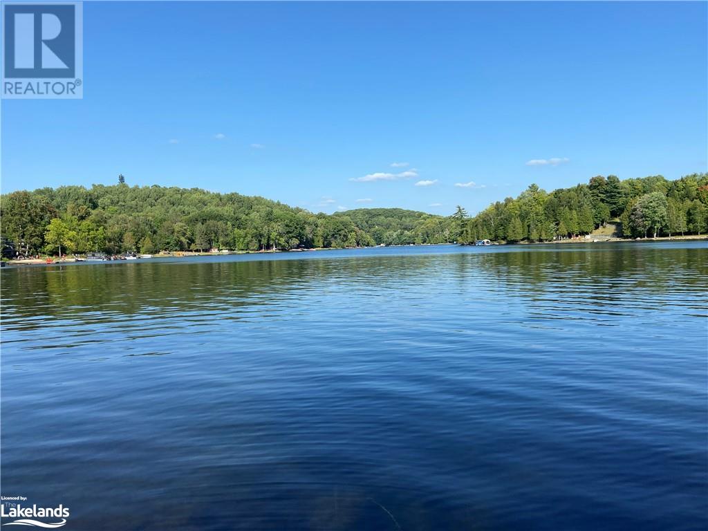 1981 Horseshoe Lake Road, Minden, Ontario  K0M 2K0 - Photo 22 - 40588109