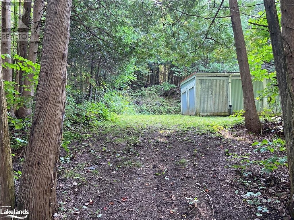 1981 Horseshoe Lake Road, Minden, Ontario  K0M 2K0 - Photo 21 - 40588109