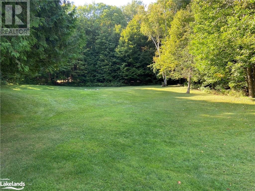 1981 Horseshoe Lake Road, Minden, Ontario  K0M 2K0 - Photo 14 - 40588109