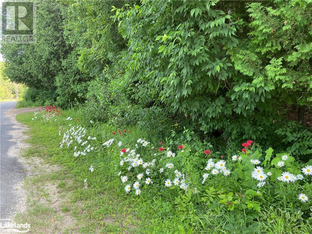 1981 Horseshoe Lake Road, Minden, Ontario  K0M 2K0 - Photo 11 - 40588109