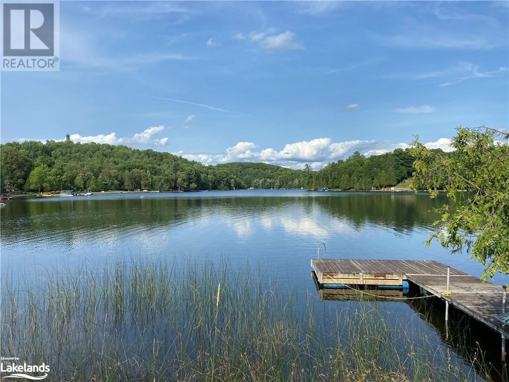 1981 Horseshoe Lake Road, Minden, Ontario  K0M 2K0 - Photo 2 - 40588109