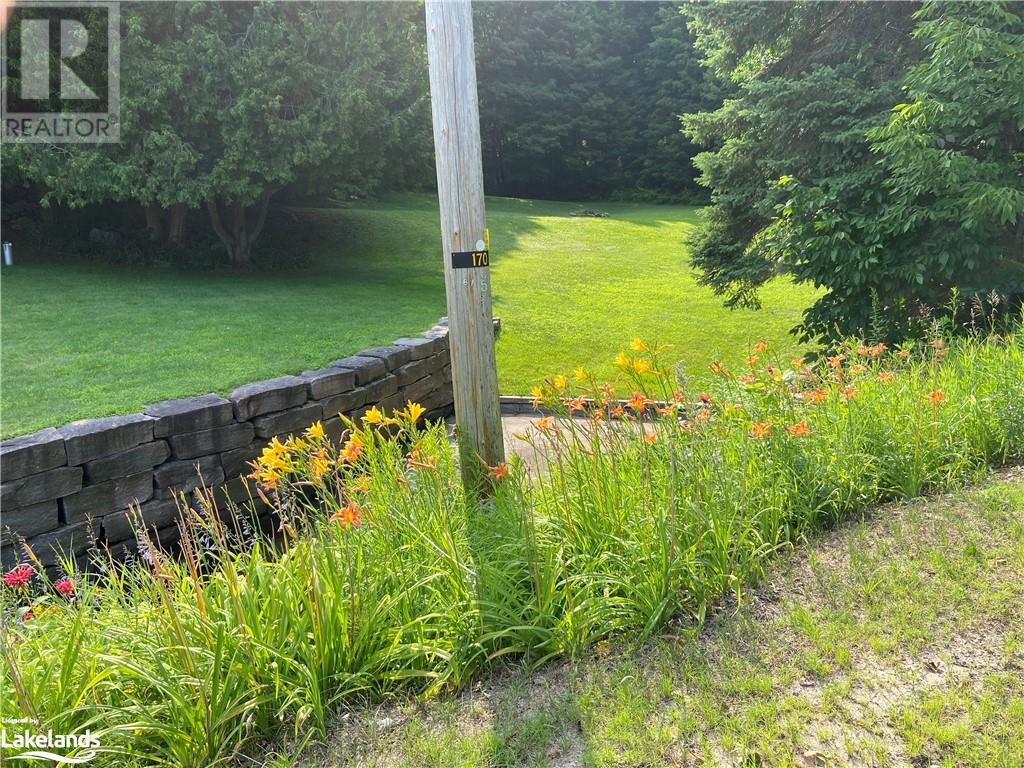 1981 Horseshoe Lake Road, Minden, Ontario  K0M 2K0 - Photo 10 - 40588109