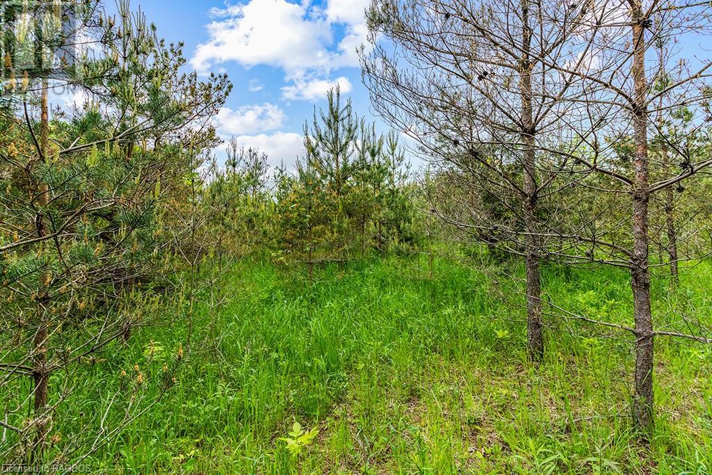 Pt Lot 16 Side Road 5, Chatsworth, Ontario  N0H 1G0 - Photo 11 - 40595918