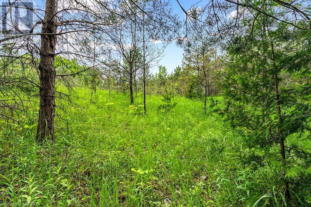 Pt Lot 16 Side Road 5, Chatsworth, Ontario  N0H 1G0 - Photo 12 - 40595918