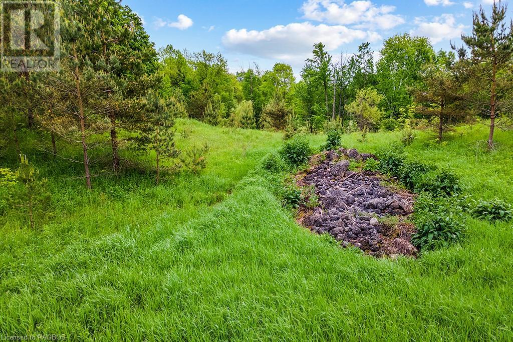 Pt Lot 16 Side Road 5, Chatsworth, Ontario  N0H 1G0 - Photo 17 - 40595918