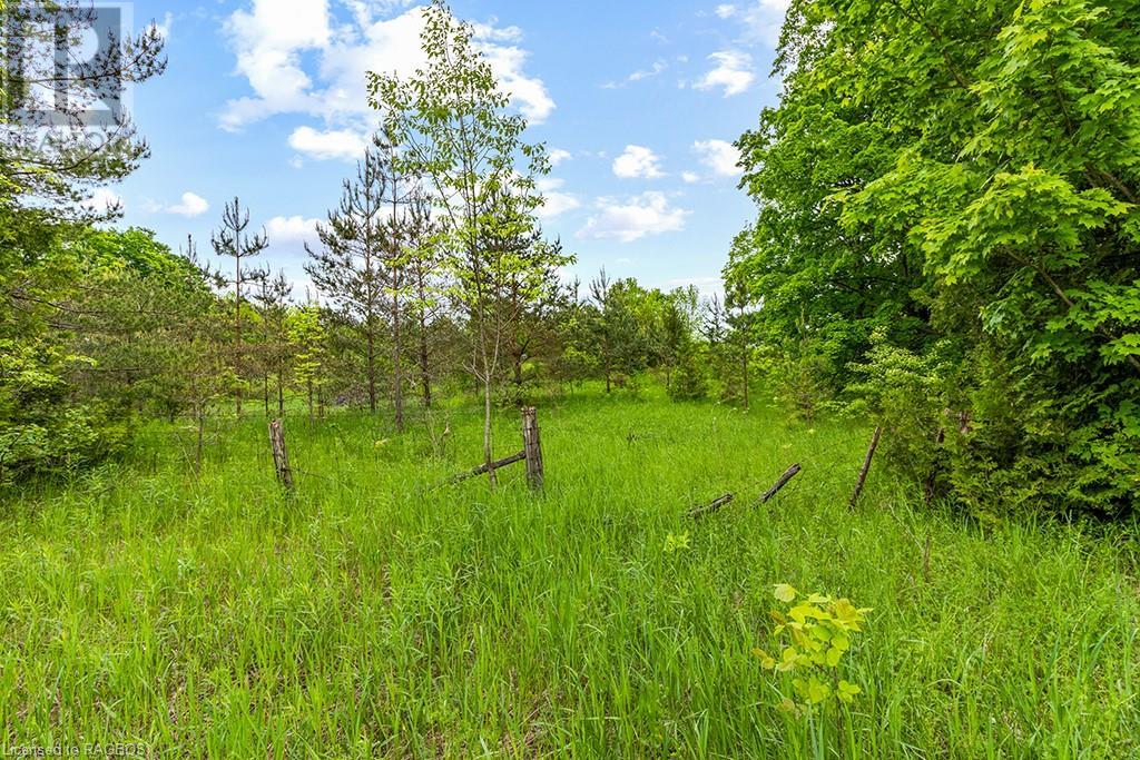 Pt Lot 16 Side Road 5, Chatsworth, Ontario  N0H 1G0 - Photo 20 - 40595918