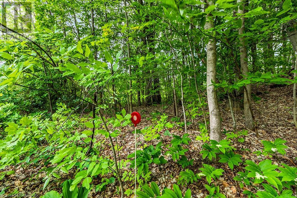 Pt Lot 16 Side Road 5, Chatsworth, Ontario  N0H 1G0 - Photo 28 - 40595918