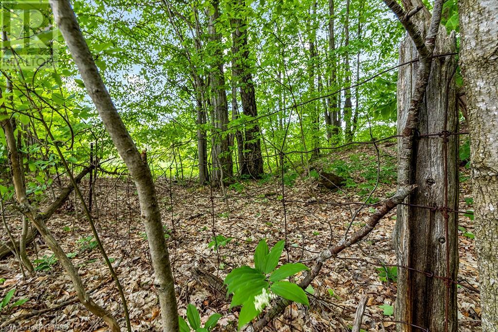 Pt Lot 16 Side Road 5, Chatsworth, Ontario  N0H 1G0 - Photo 29 - 40595918