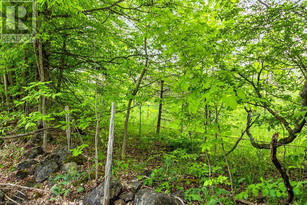 Pt Lot 16 Side Road 5, Chatsworth, Ontario  N0H 1G0 - Photo 32 - 40595918
