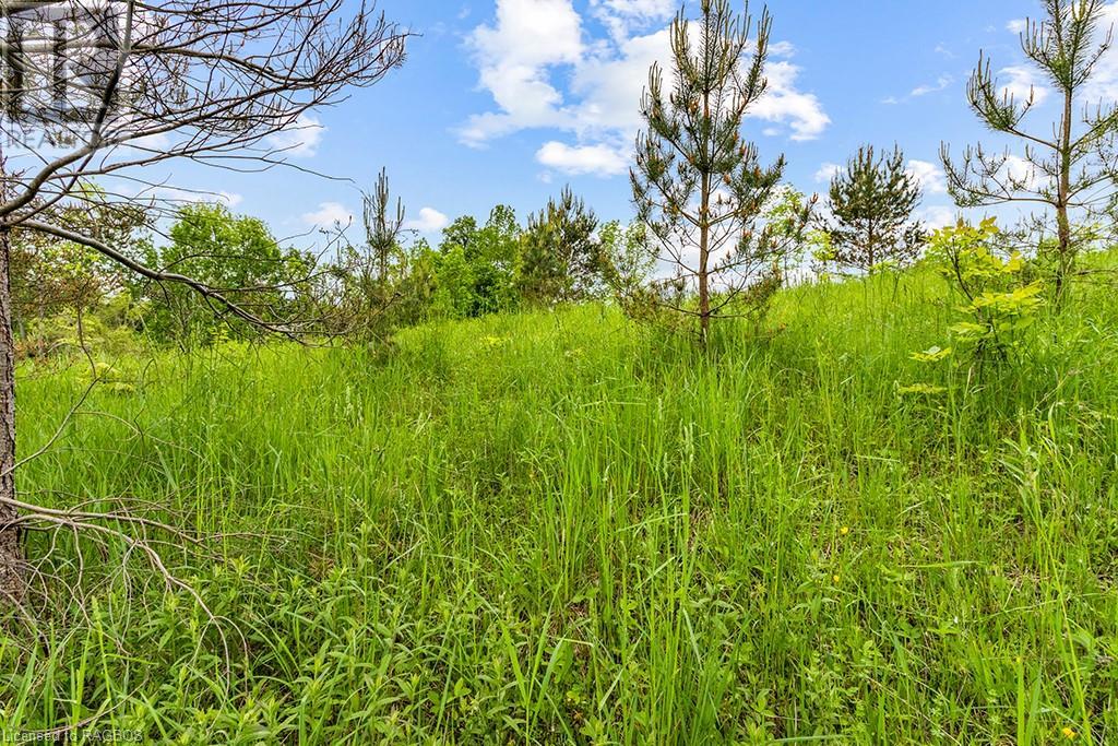 Pt Lot 16 Side Road 5, Chatsworth, Ontario  N0H 1G0 - Photo 34 - 40595918