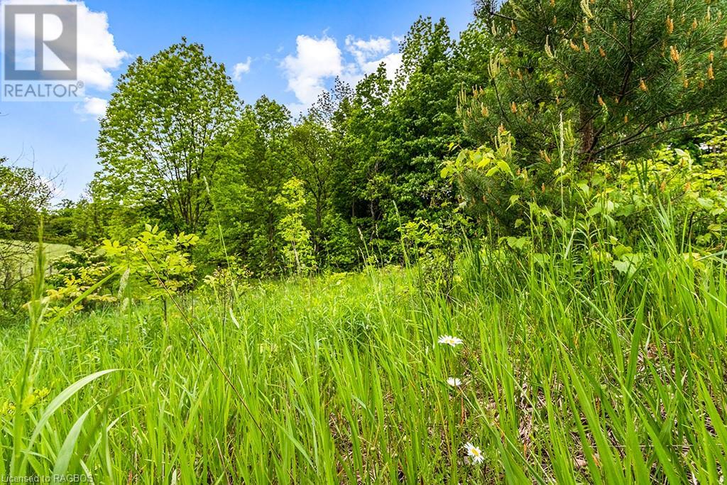 Pt Lot 16 Side Road 5, Chatsworth, Ontario  N0H 1G0 - Photo 36 - 40595918