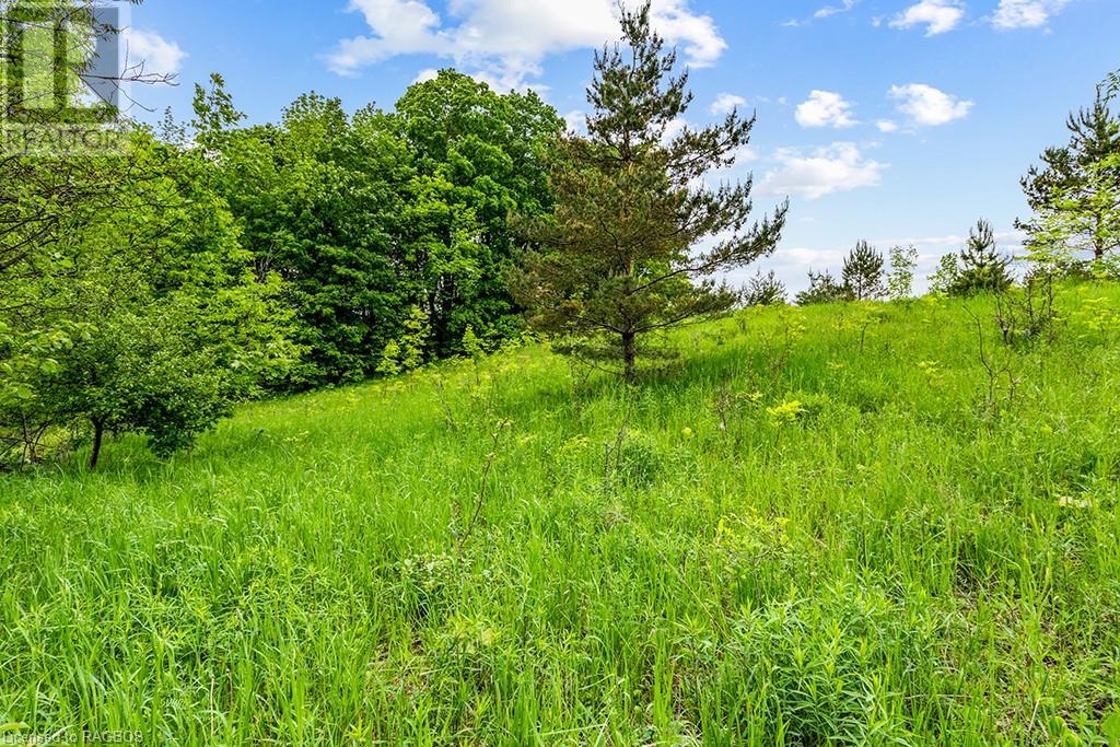 Pt Lot 16 Side Road 5, Chatsworth, Ontario  N0H 1G0 - Photo 5 - 40595918